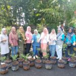 KEGIATAN MENANAM CABAI BERSAMA PERSATUAN DHARMA WANITA DINAS PERHUBUNGAN KABUPATEN CIREBON